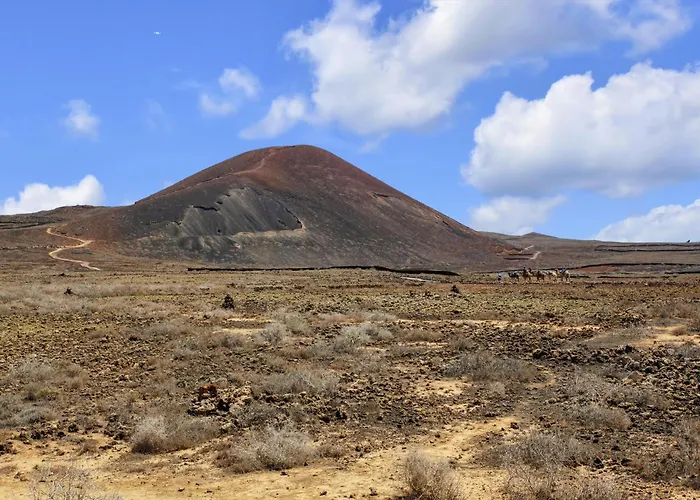 Asensio ラハレス